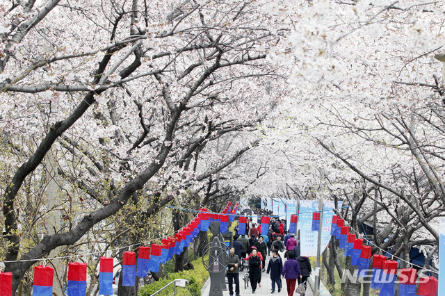 제8회 신대방 어울림 벚꽃 축제