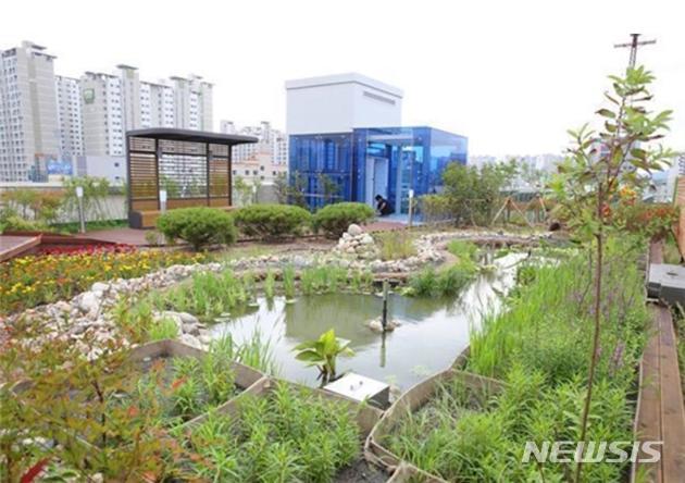 [대전소식]시, 서구청 옥상녹화 소생태계 조성 등