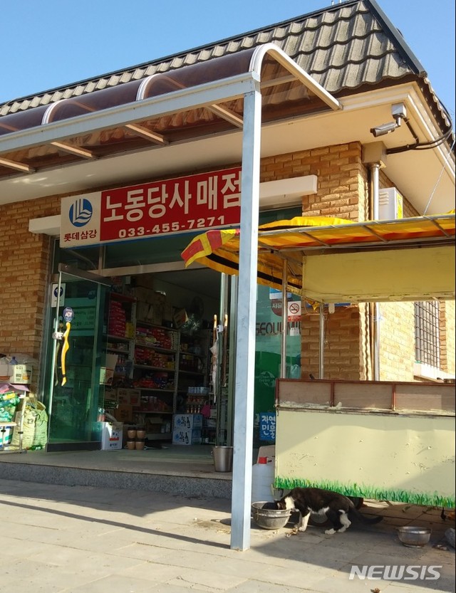 평화의 고양이?