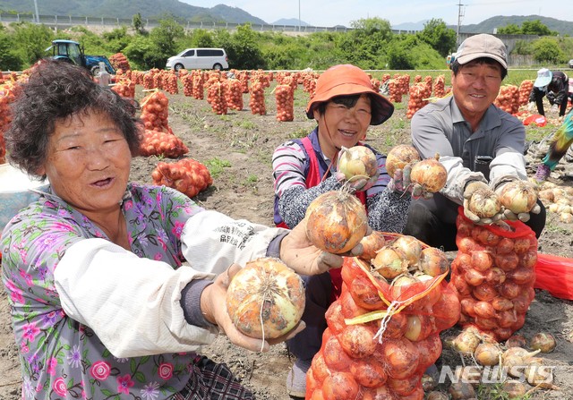 몸에 좋은 양파 드세요