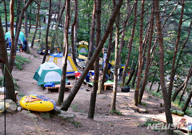 상주시, 성주봉자연휴양림 입장·주차료 폐지
