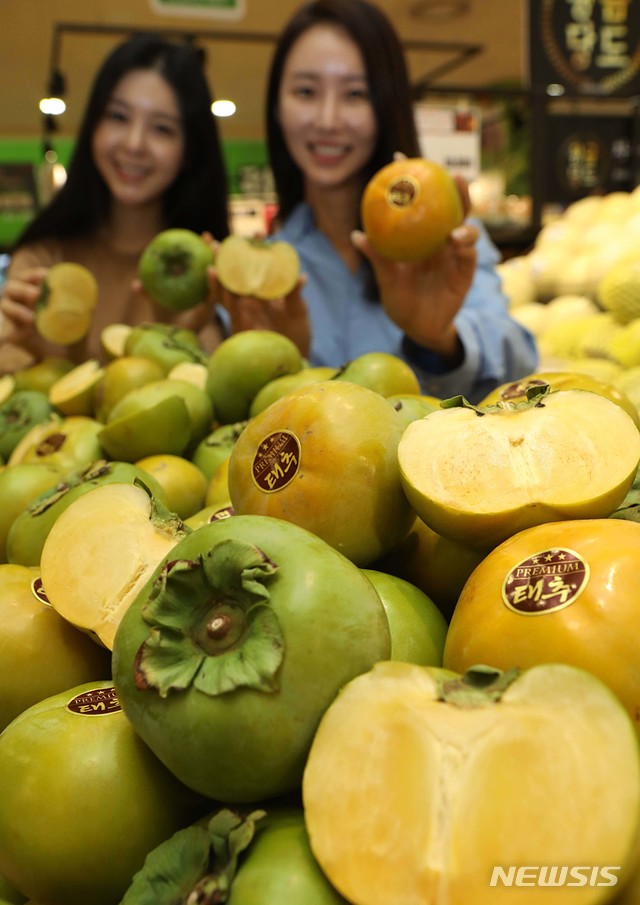 배처럼 아삭한 태추 단감 드세요