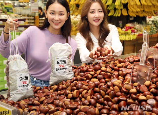 햇밤 한 봉지 가득 골라 담으세요