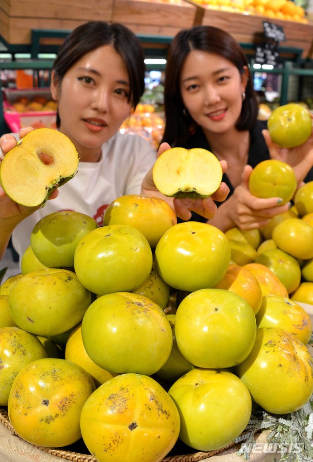 태추단감 맛보세요