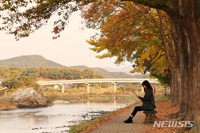 가을 향기 진해지는 영동 송호관광지