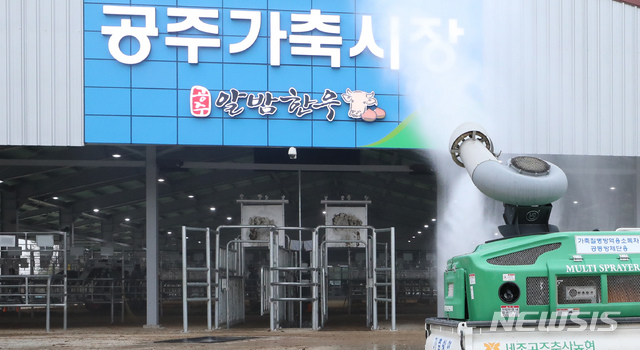 가축시장 방역 철저하게