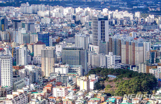 숲으로 미세먼지 잡는다 제주시, 사업비 100억 투입