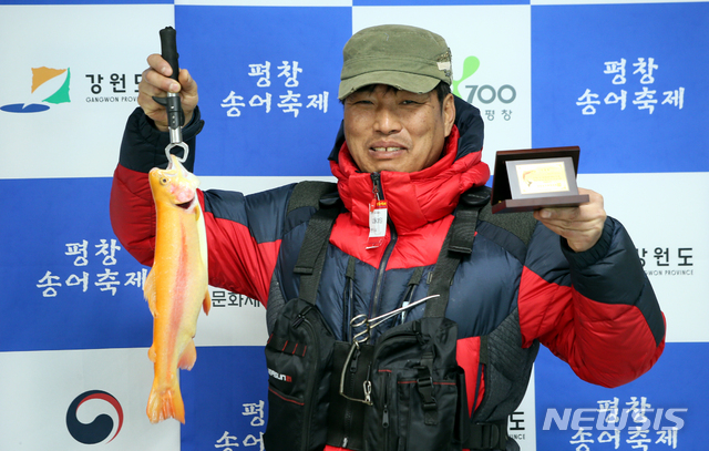 행운의 황금송어 잡으면 순금이 내 손에