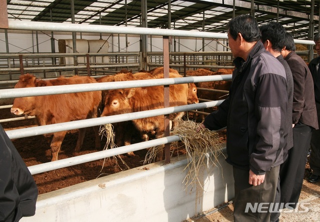 전국최대 한우산지 경북, 한우육성 지원 5개년 계획 짰다