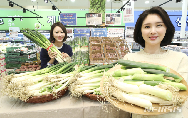 GAP 인증 받은 신안 임자도 겨울 대파 판매