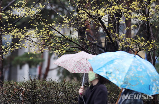 봄비 북상중…제주엔 물폭탄, 오후께 전국 확대