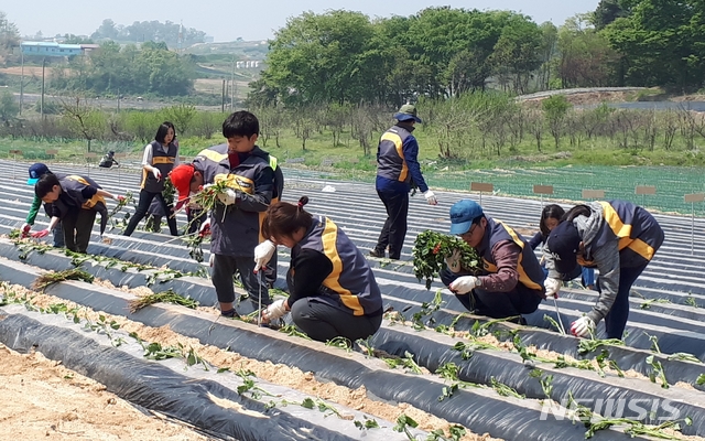 [증평소식]증안골정보화마을 주말농장 분양 등