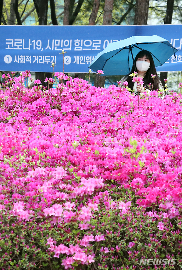 코로나19도 이겨내고 비오는 날 뽐꽃도 보고