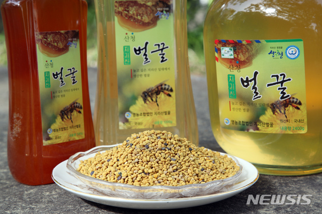 지리산 자락 산청서 몸에 좋은 햇 벌꿀 수확 한창