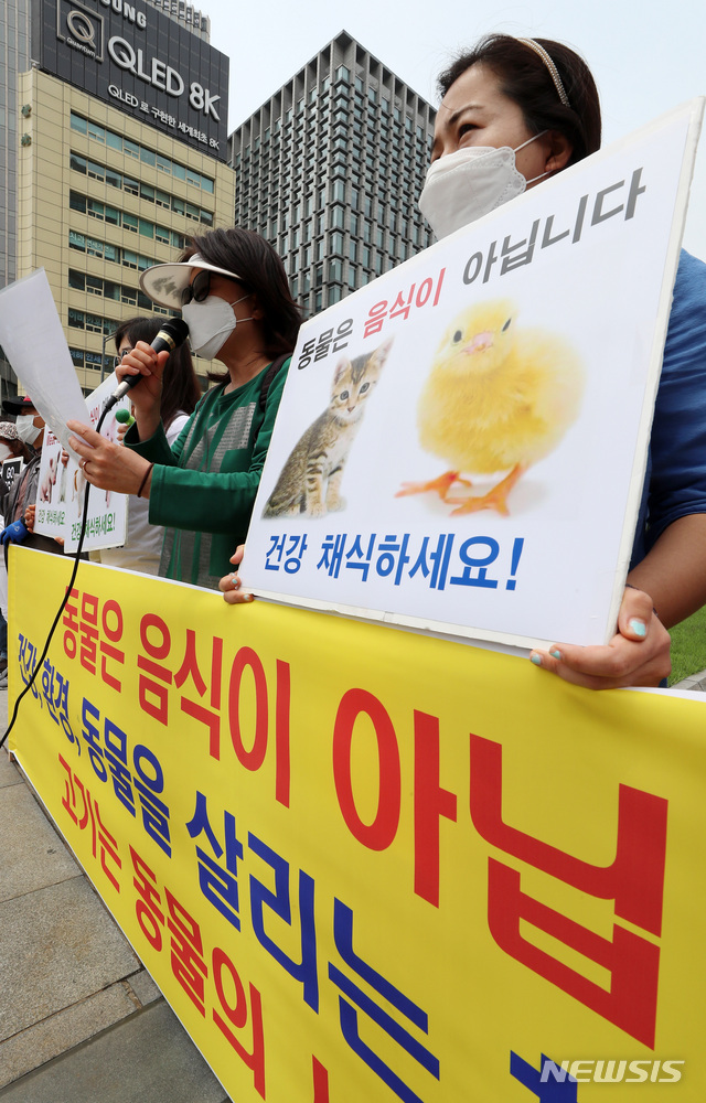 '육식중단, 동물해방 촉구 기자회견'