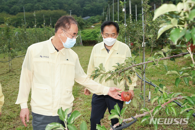 태풍 마이삭 피해 과수농가 찾은 장세용 구미시장