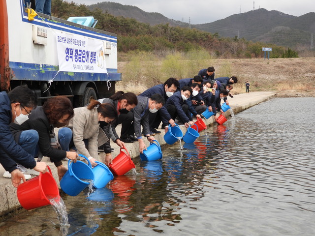 영덕군, 영덕황금은어 종 보존 위해 본격 나섰다