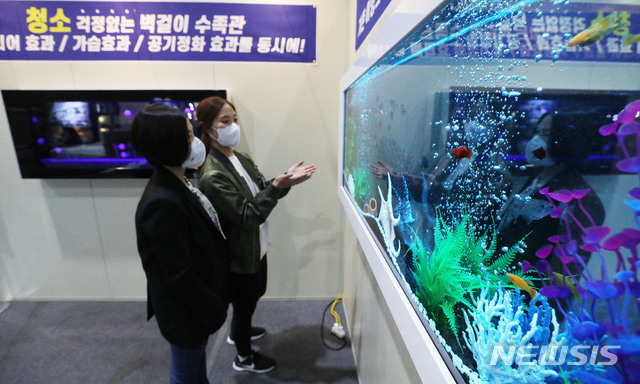 청소가 간편한 액자형 벽걸이 수족관