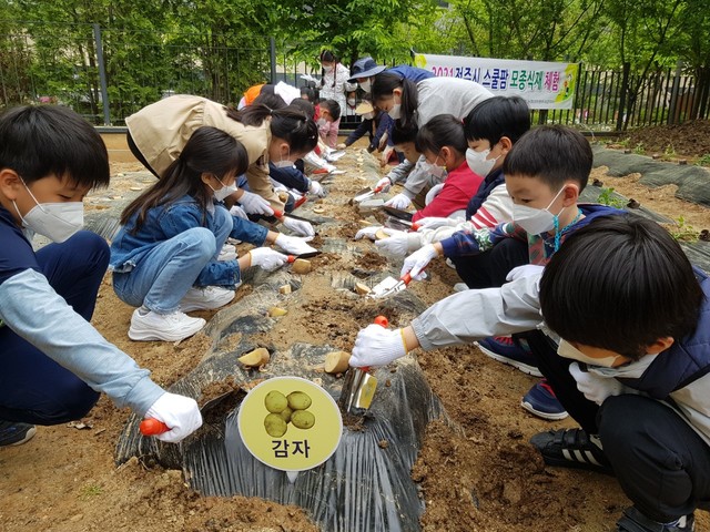 학교에서 텃밭 가꿔요…전북농협, 9년째 스쿨팜 사업 추진