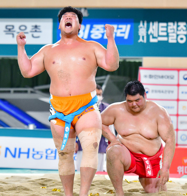최인호 내가 백두장사야