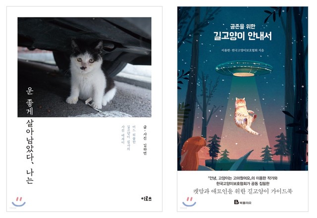 고양이, 인간의 서점을 지배하다…관련 책 늘어