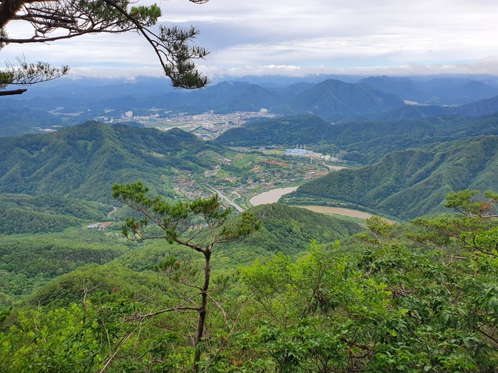 산림청, 9월의 국유림 명품숲에 영월 ‘태화산 경관숲 선정