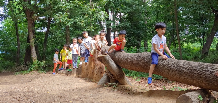 웃음소리 가득한 놀이터…전주 도심 숲놀이터 인기