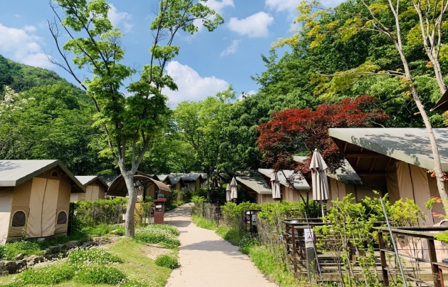 소백산국립공원, 콜백서비스 운영…탐방정보 문자 발송