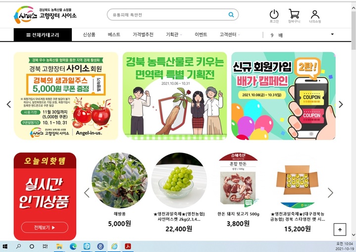 경북 농특산물 쇼핑몰 사이소 두날개-비대면·온라인