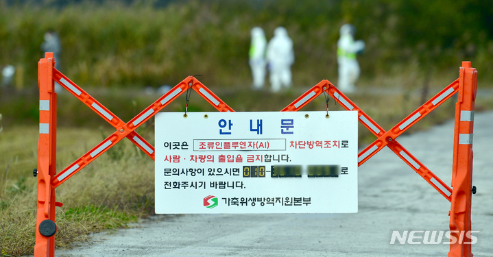 담양 육용오리농장 조류독감 의사환축 발생
