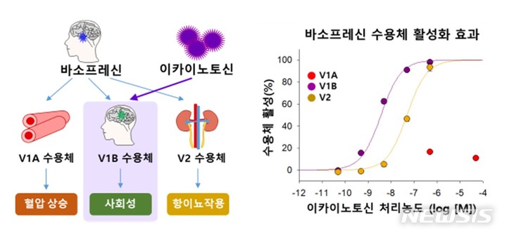 해양생물자원관, 성게에서 사회성 개선 신경조절물질 발견