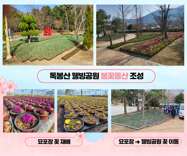 거제 상동동 독봉산 웰빙공원, 봄꽃동산 조성으로 볼거리 제공