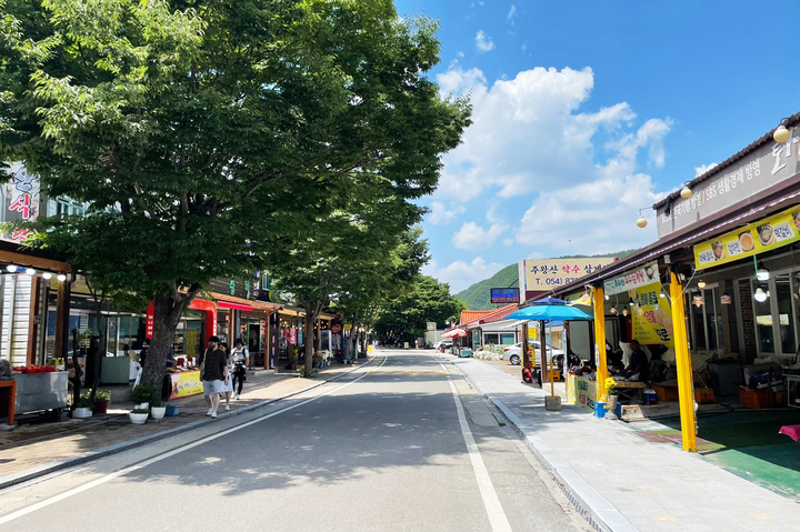 청송 주왕산국립공원 상가지역 활성화 추진