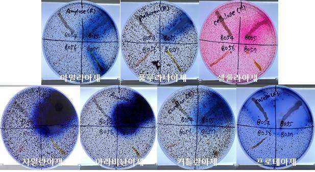 국내 미기록 세균 101종 발견…효소산업에 활용 기대