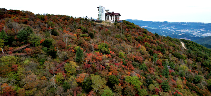 울긋불긋 오색빛깔 단풍이 전하는 가을 소식 [뉴시스Pic]