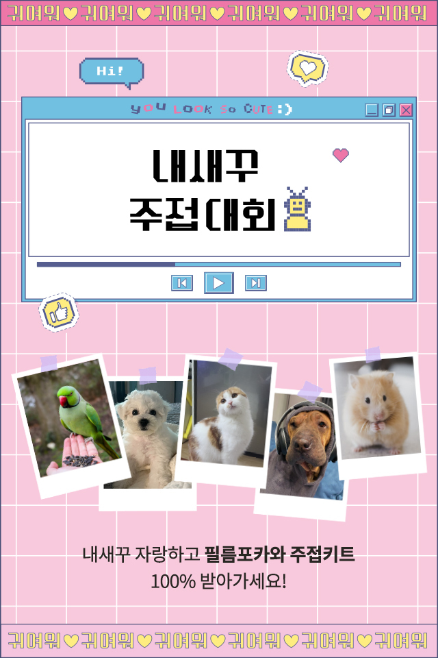 [팔레트]반려동물 자랑하고 선물·기부까지…후지필름 내새꾸 주접대회