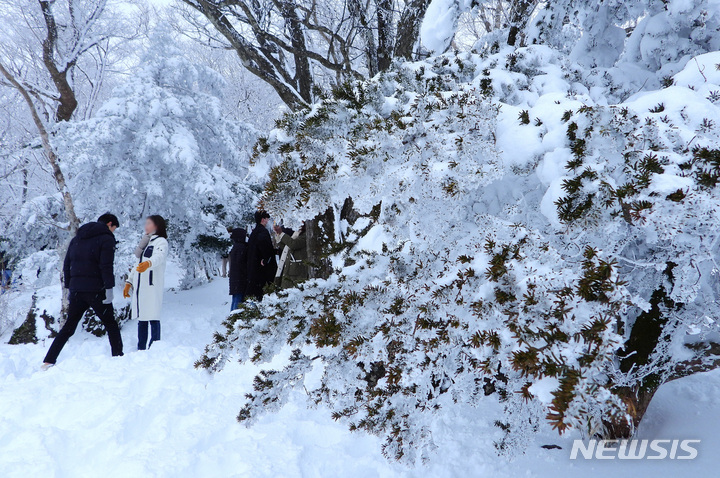 눈꽃 세상, 한라산 1100고지