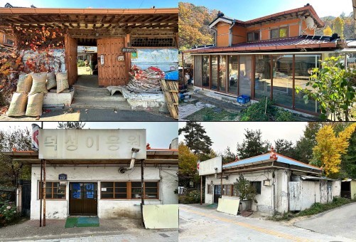 청주시 미래유산 23건 최종 선정…플라타너스 가로수길 등