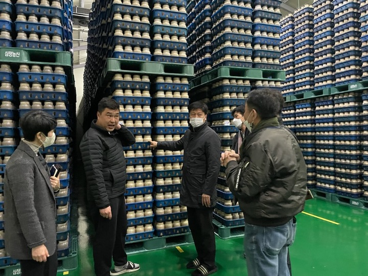 창원시농업기술센터, 새송이버섯 유럽시장 공략
