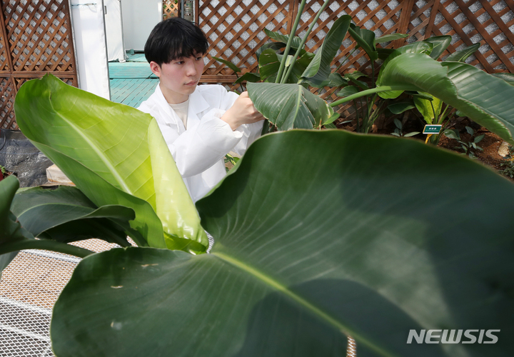 식집사 위한 반려식물병원 개원