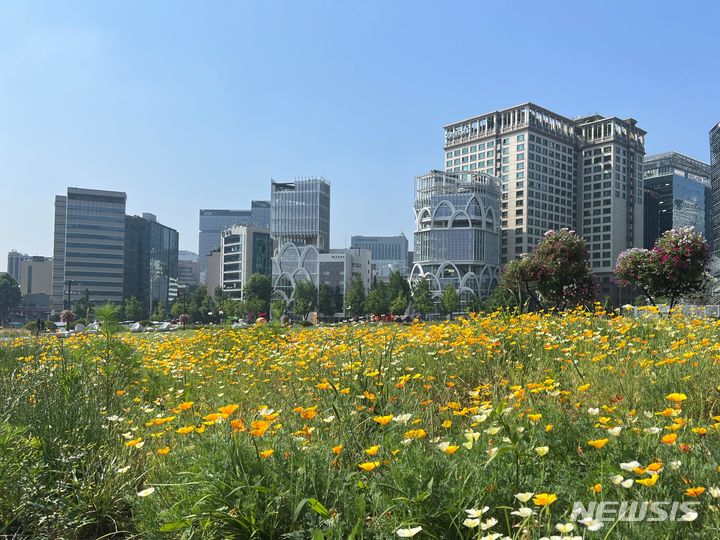 형형색색 꽃물결…열린송현녹지광장 나들이 어때요