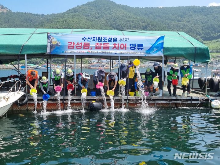 경상남도수산자원연구소, 참돔·감성돔 치어 방류