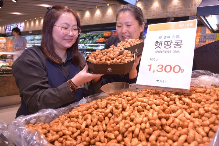 [대구소식]롯데백화점 대구점, 엘린스 샌드위치 신규 오픈 등