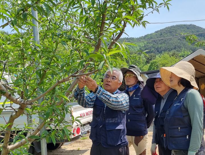 좋아졌어요, 영동군 농촌에서 살아보기 호응↑