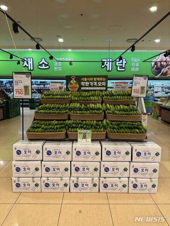 서울시, 오이 3만개 할인 판매…롯데마트서 개당 750원