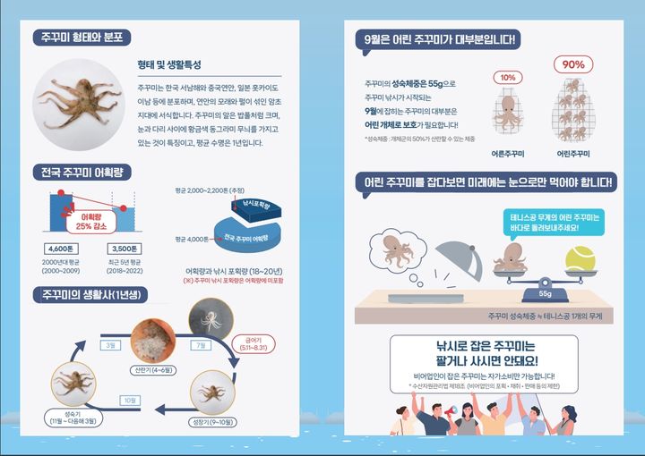 수과원 테니스공보다 작은 주꾸미는 놓아주세요