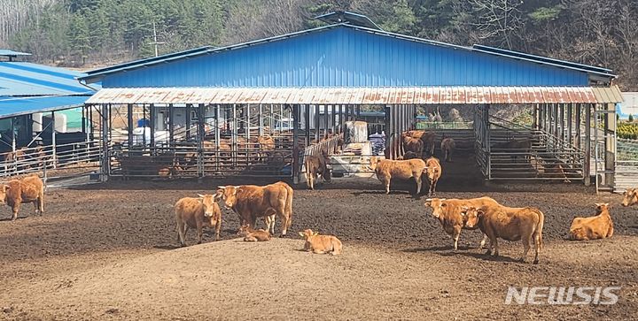 합천 황토한우, 나들이