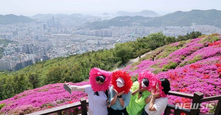 부산 백양산 철쭉동산서 인생사진 찰칵