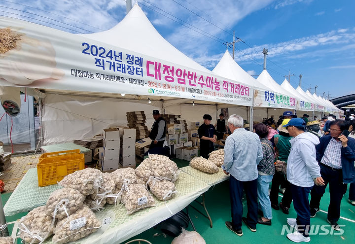 최우수 품질, 제주 대정 마늘 사세요