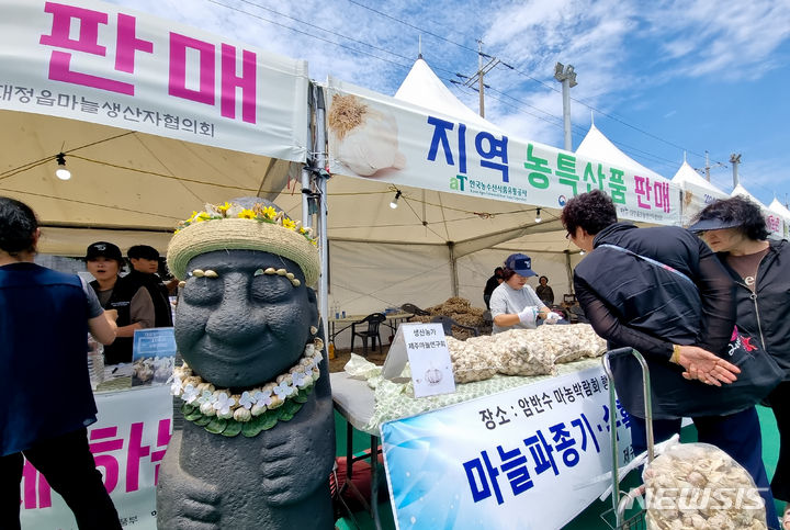 최우수 품질, 제주 대정 마늘 사세요